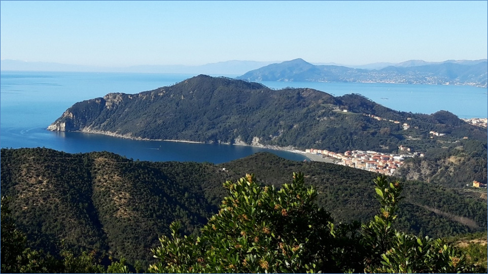 Adozione dei Piani di tutela e gestione delle Zone Speciali di Conservazione di cinque siti gestiti dalla Città Metropolitana di Genova