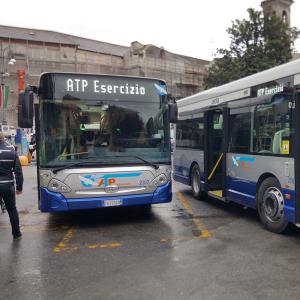 Nuovi autobus ATP: i mezzi in attesa di essere visitati