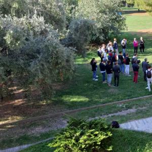 Laboratori di gruppo 1