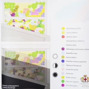 “Rain Garden”: cartellonistica illustrativa