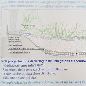 “Rain Garden”: modello di giardino sostenibile