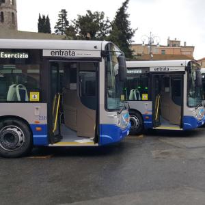 Nuovi autobus ATP: i mezzi in attesa di essere visitati 2 