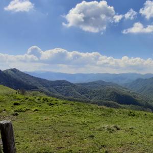 L'anello dei narcisi, panorama (5)