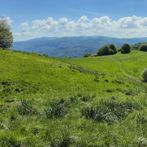 L'anello dei narcisi, panorama (14)