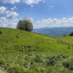 L'anello dei narcisi, panorama (15)