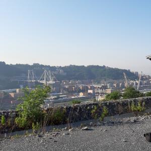 Ponte Morandi 