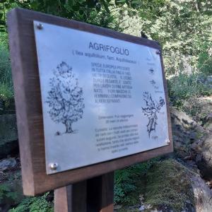 Giardino Botanico di Pratorondanino 17
