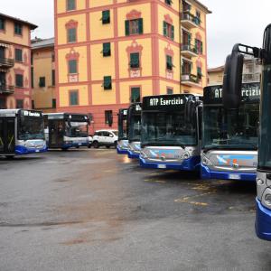 Nuovi autobus ATP: i mezzi in attesa di essere visitati 6 