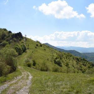 L'anello dei narcisi, il sentiero che parte dalla sp 16 (Fascia) (2)