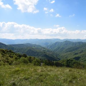 L'anello dei narcisi, panorama (3)