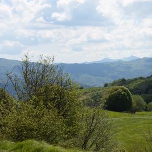 L'anello dei narcisi, panorama (16)