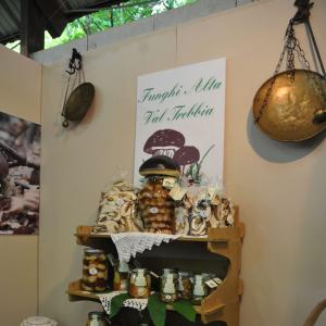 Expo Alta Val trebbia 10 edizione, stand espositivi 4 