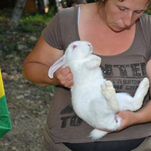 Expo Alta Val trebbia 10 edizione, prodotti tipici locali 2 