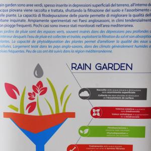 “Rain Garden”: presentazione di un modello europeo di giardino sostenibile