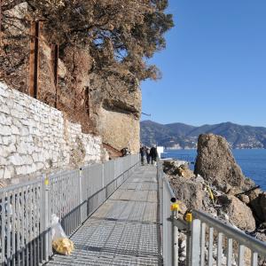 SP 227 di Portofino: tratto di passerella posato (9)