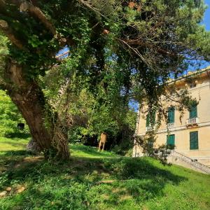 23 Busalla_ Villa Borzino_ 23 Busalla_ Villa Borzino_
