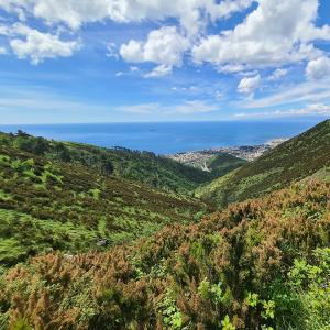 5 – Arbusteti ad Erica arborea