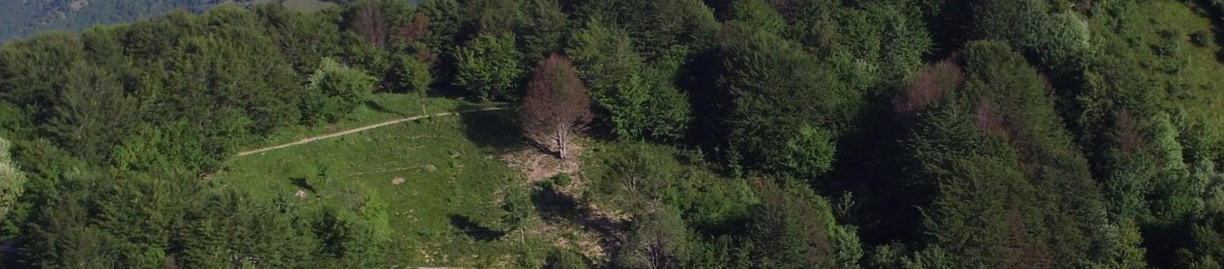 News: Antola, domenica la festa per i dieci anni del rifugio sulla montagna dei genovesi
