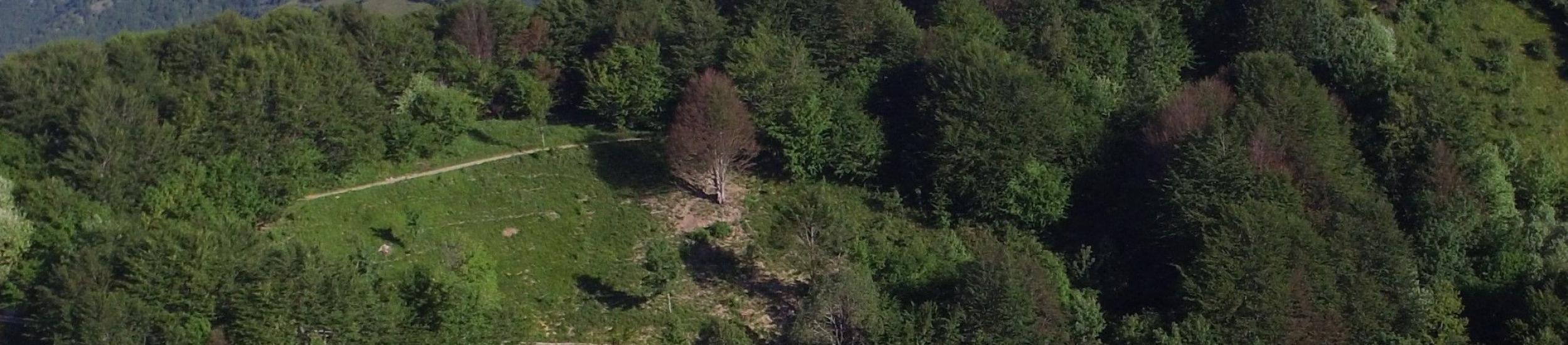 News: Antola, domenica la festa per i dieci anni del rifugio sulla montagna dei genovesi