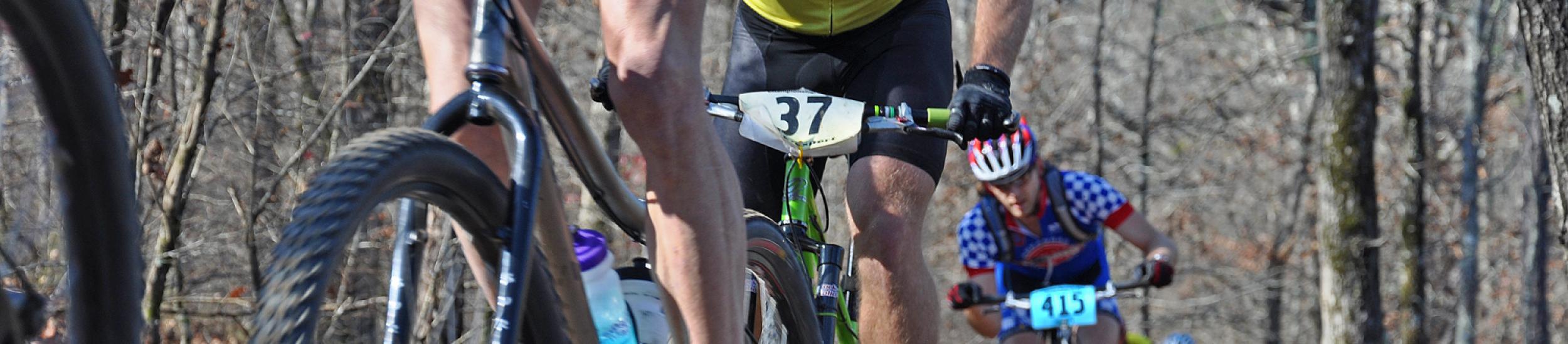 News: Valbrevenna, dove le aquile osano in mountain-bike