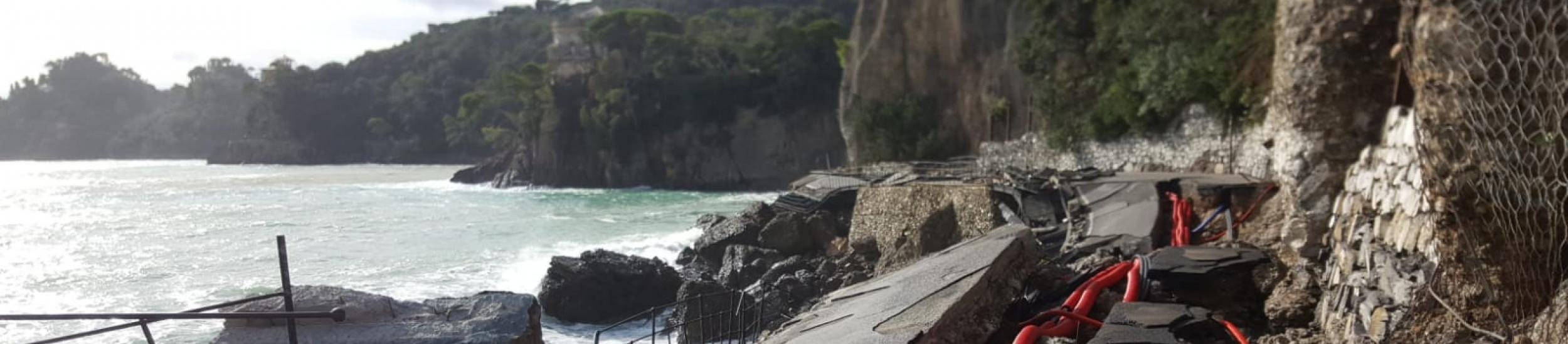 News: SP n. 227 di Portofino. Totale interdizione della circolazione veicolare e pedonale tra le progr.ve km 4+000 e km 6+000 in Comune di Santa Margherita Ligure.