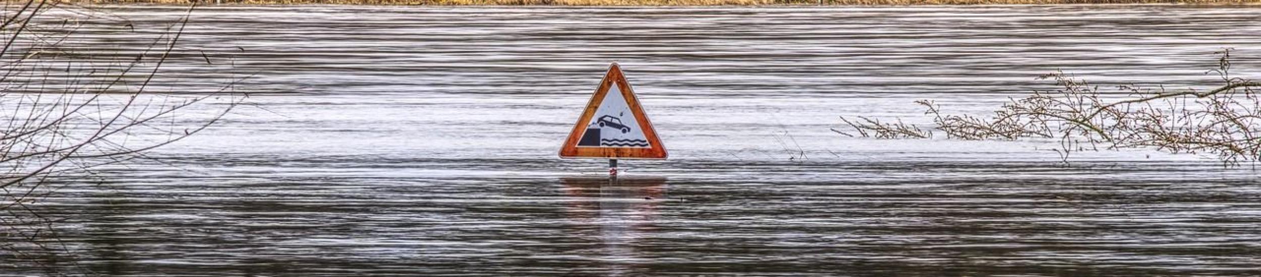 alluvione proterina