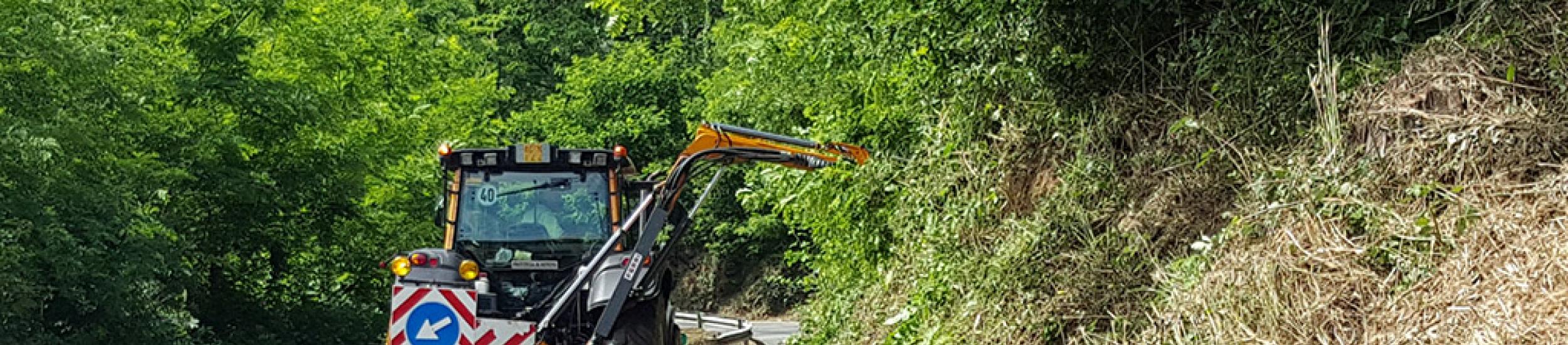 News: Valle stura, senso unico alternato per lavori forestali sulla sp 456 del turchino