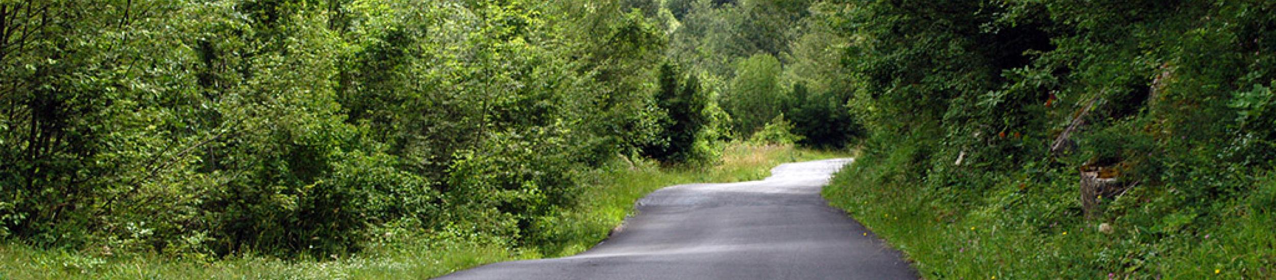 News: Sp 71 del monte cornua, limiti a 50 e 40 km/h su tutti i 9 km del tracciato