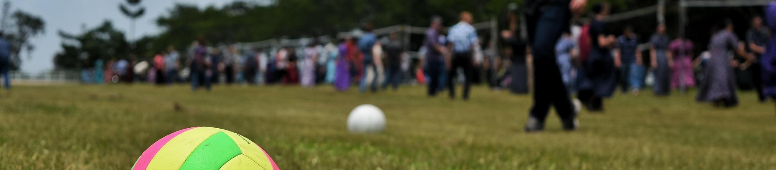 Immagine decorativa (una palla da basket su un prato in primo piano e dietro molta gente)