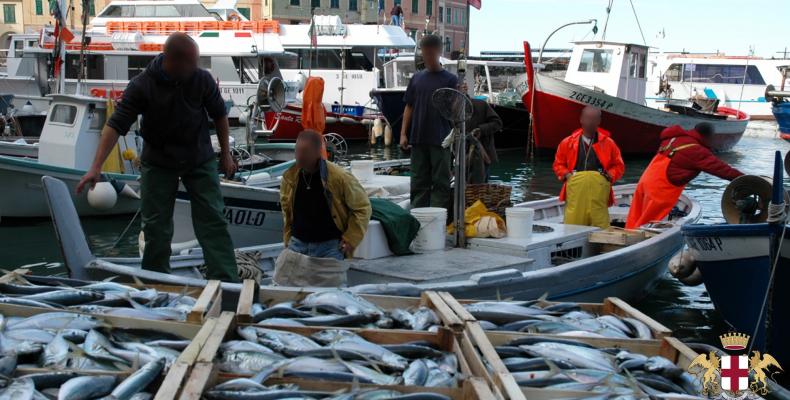 Camogli, pescatori e pesci