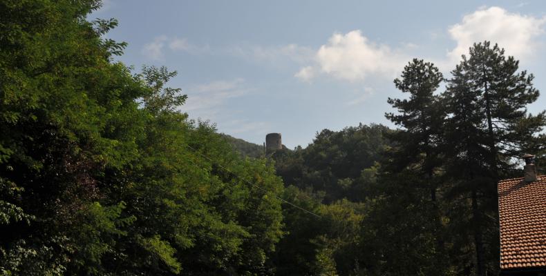 Savignone, Castello