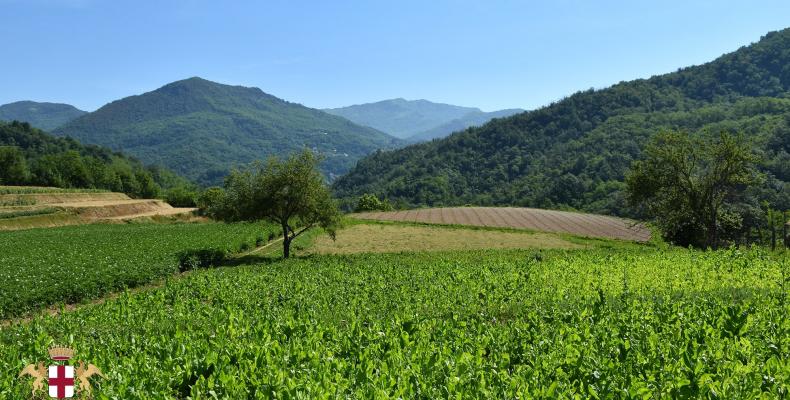 Lumarzo, coltivazioni 