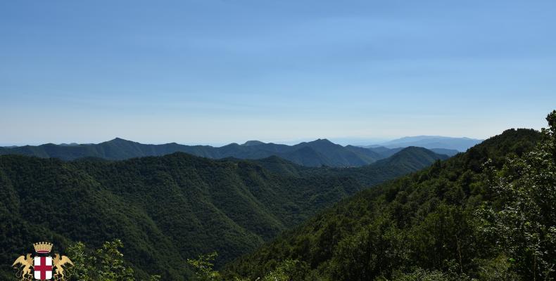 Pentema, panorami