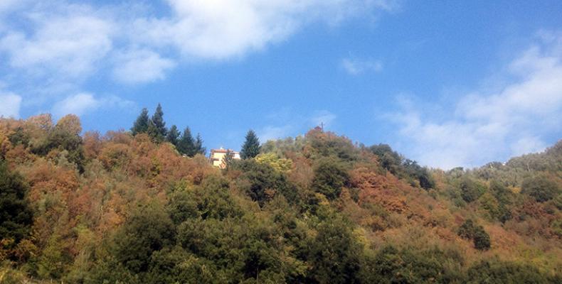 Aria, inquinanti nei limiti (news del 2015-11-12 09:17:38)