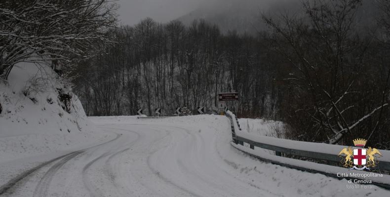 strada innevata