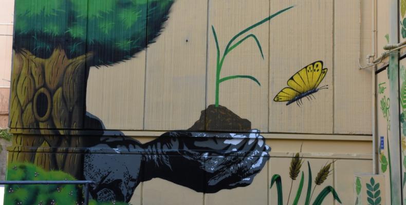 Murales ist Mazzini foto 3