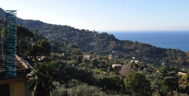 Aria: è pulita nella città metropolitana di genova (news del 2017-01-24 09:28:10)