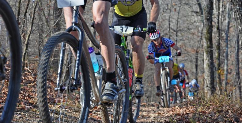 News: Strade, sulla sp33 semafori a carasco per i lavori della pista ciclabile