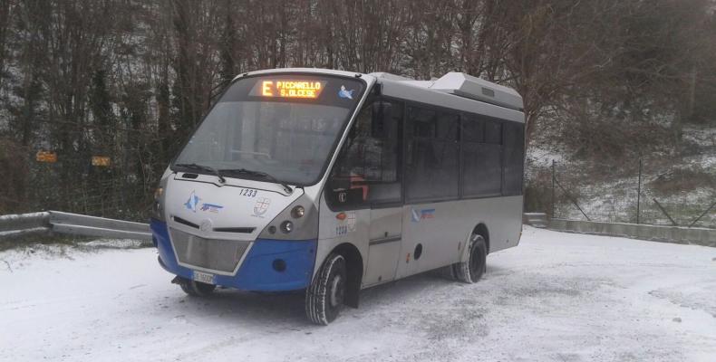 bus nella neve