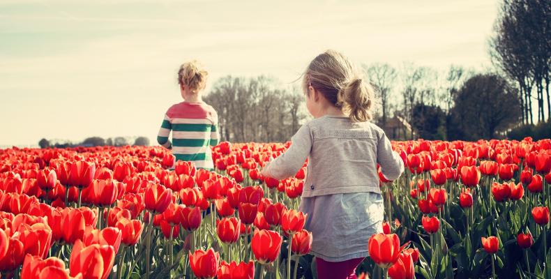 bambini affidamento