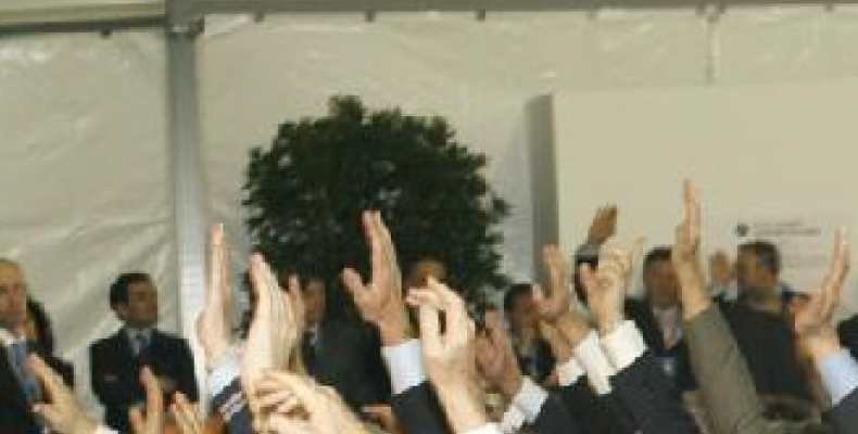 consiglio conferenza voto mani alzate