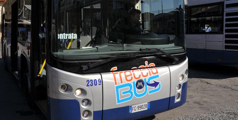 Freccia Bus
