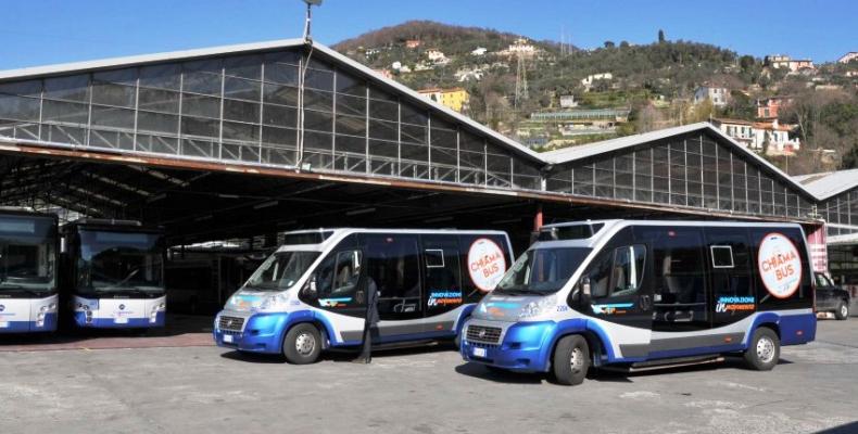 Bus ATP Atp Esercizio: modifiche del servizio a seguito del crollo ponte Morandi