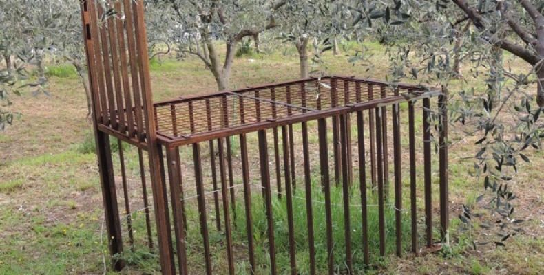 Cinghiali_gabbia_abusiva_00