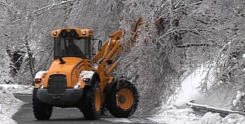 News: Maltempo: ponte di comorga chiuso sulla sp225, neve a tiglieto, galaverna e vento fanno strage di alberi