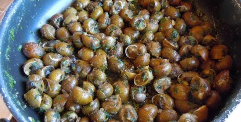 News: Sp44 di santa vittoria: tre sere a senso unico per chi corre alla sagra delle lumache