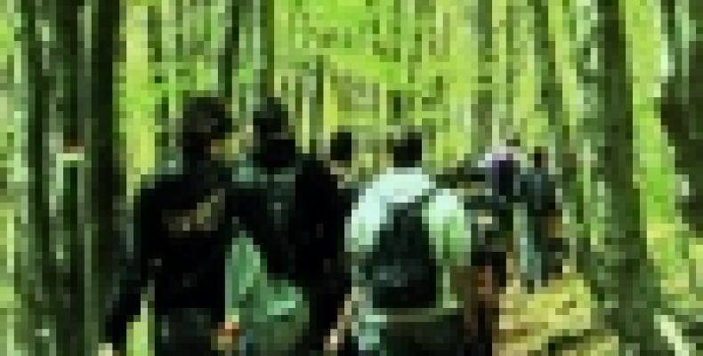escursione_in_foresta