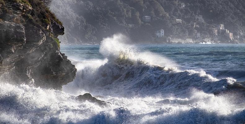 Manifestazione di interesse rivolto ai CEA del sistema Regionale Educazione Ambientale