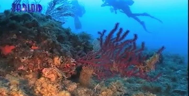 Area marina protetta di portofino, fra scienza e promozione turistica (Portofino)