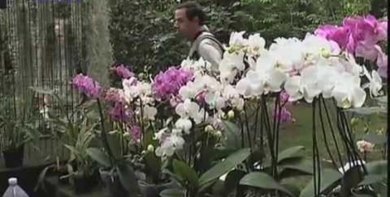 Giardino botanico di Pratorondanino